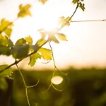 Torremilanos Szálloda Aranda de Duero