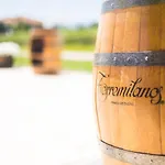 Torremilanos 4*