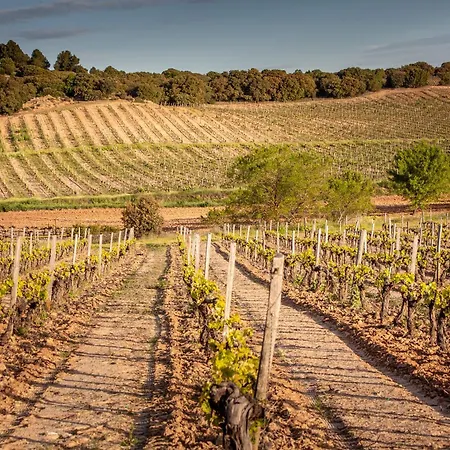 Torremilanos Szálloda Aranda de Duero