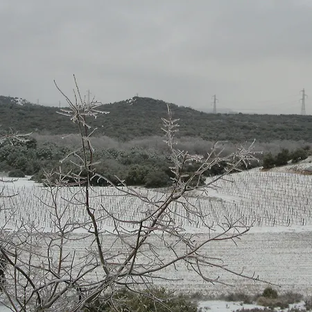 Torremilanos Aranda de Duero