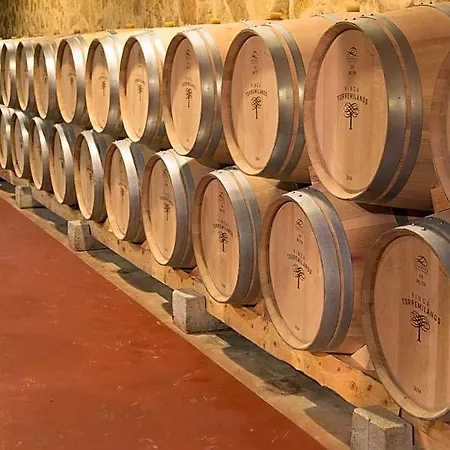 Torremilanos