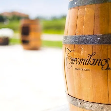 Torremilanos Aranda de Duero