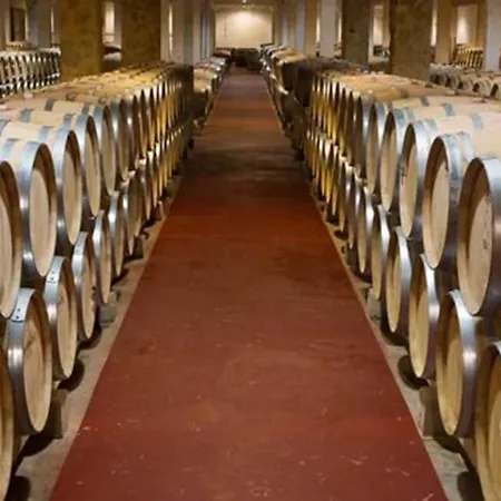 Hotel Torremilanos Aranda de Duero