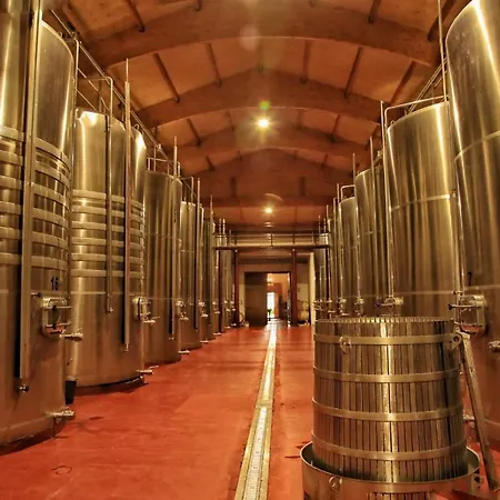 Torremilanos Szálloda Aranda de Duero