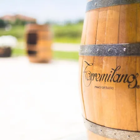 Torremilanos 4*