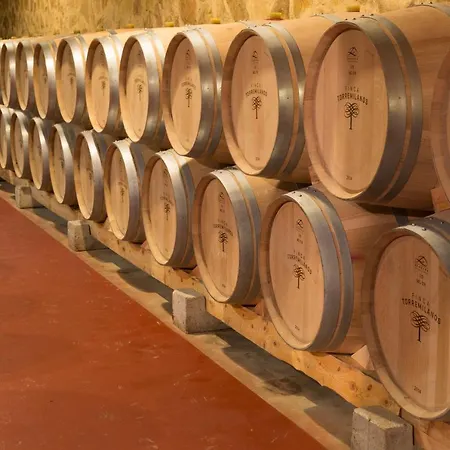 Torremilanos