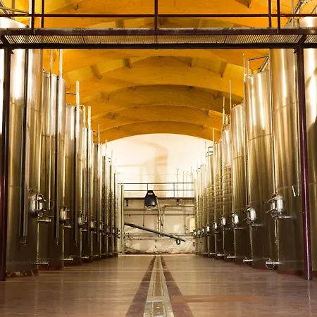 Torremilanos Hotel Aranda de Duero