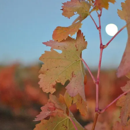 Hotel Torremilanos Aranda de Duero