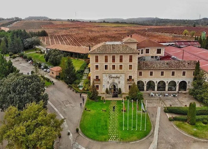 Отель Torremilanos