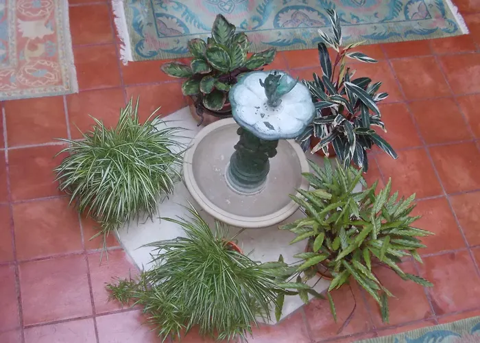 Отель Torremilanos