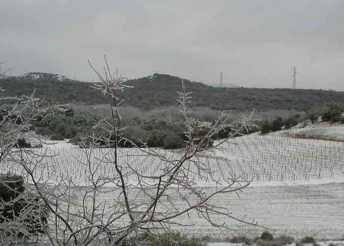 Torremilanos Отель 4*