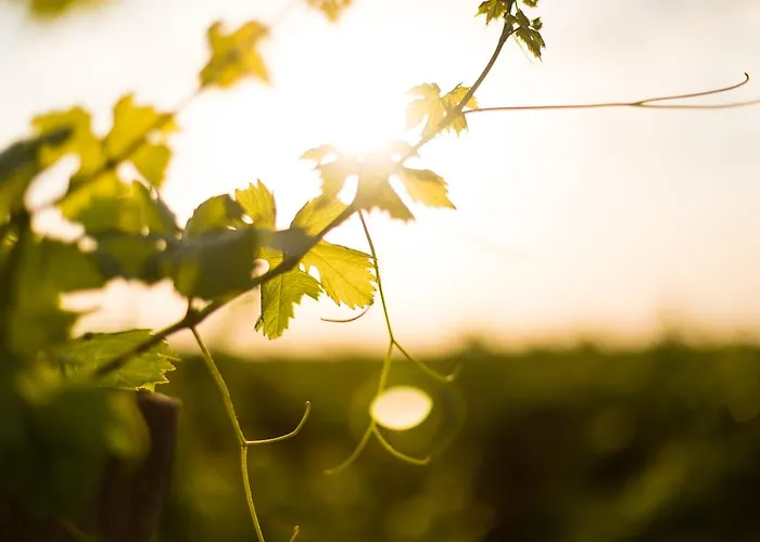 Torremilanos Отель Аранда-де-Дуэро