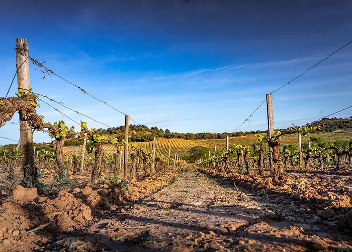 Отель Torremilanos