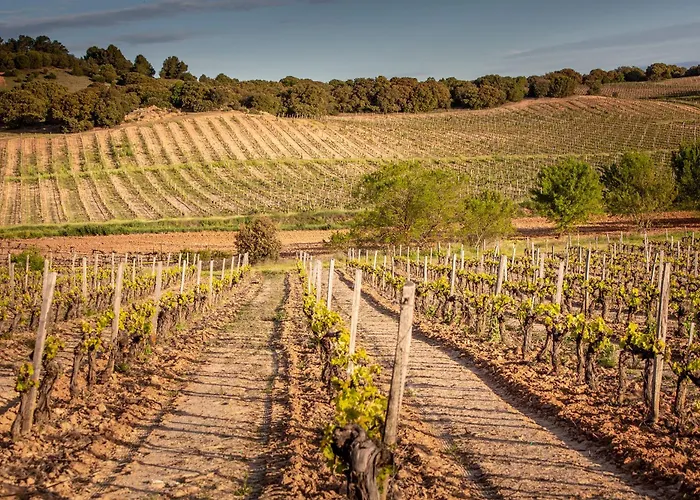 Torremilanos Hotel Aranda de Duero