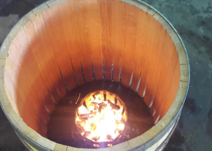 Отель Torremilanos