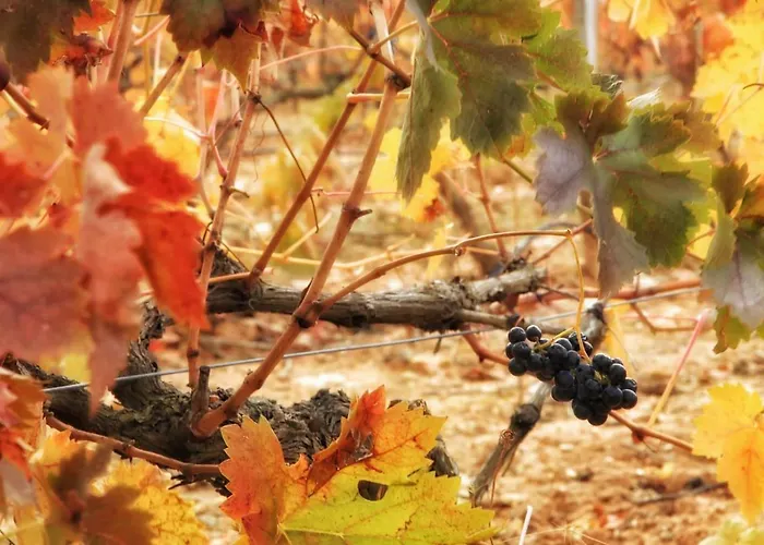 Torremilanos 4* Aranda de Duero