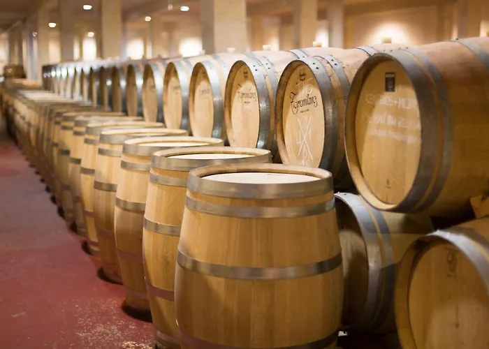 Torremilanos Отель