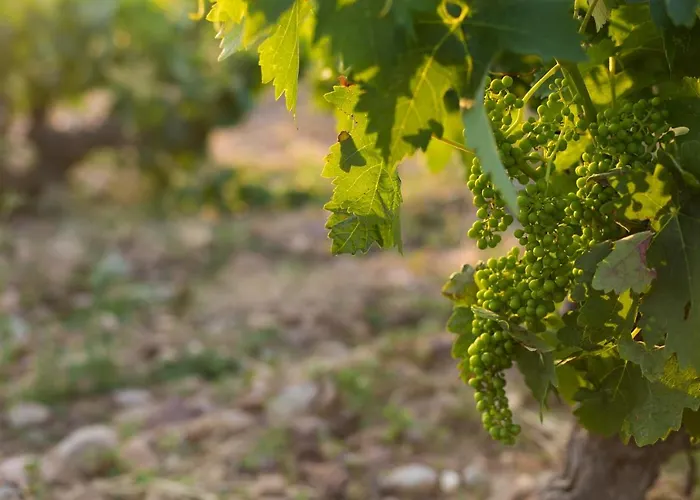 Torremilanos Aranda de Duero