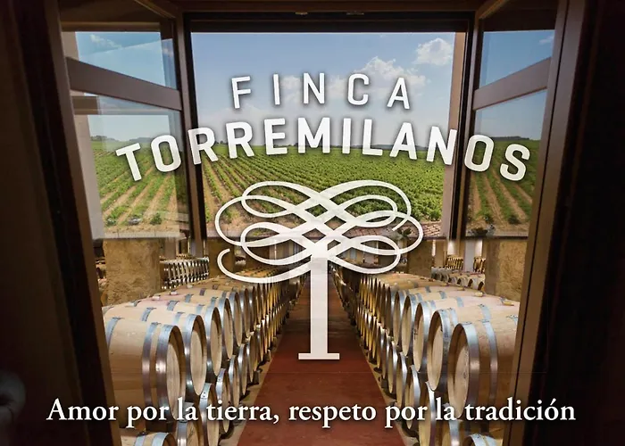 Torremilanos 4* Аранда-де-Дуэро